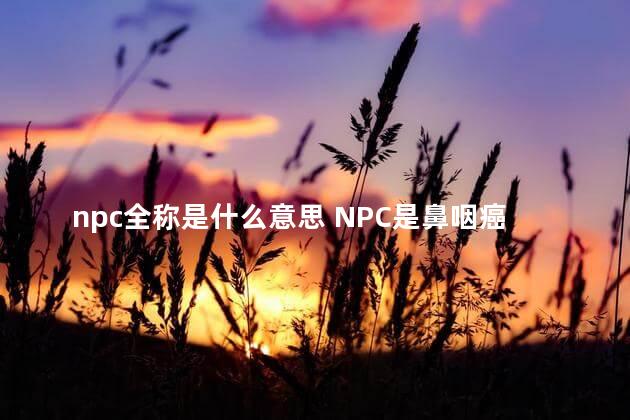 npc全称是什么意思 NPC是鼻咽癌吗